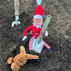 naughty elf at the puddle project